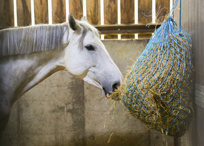 Haysoft Timothy Haylage