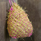 HaySoft High Fibre Haylage