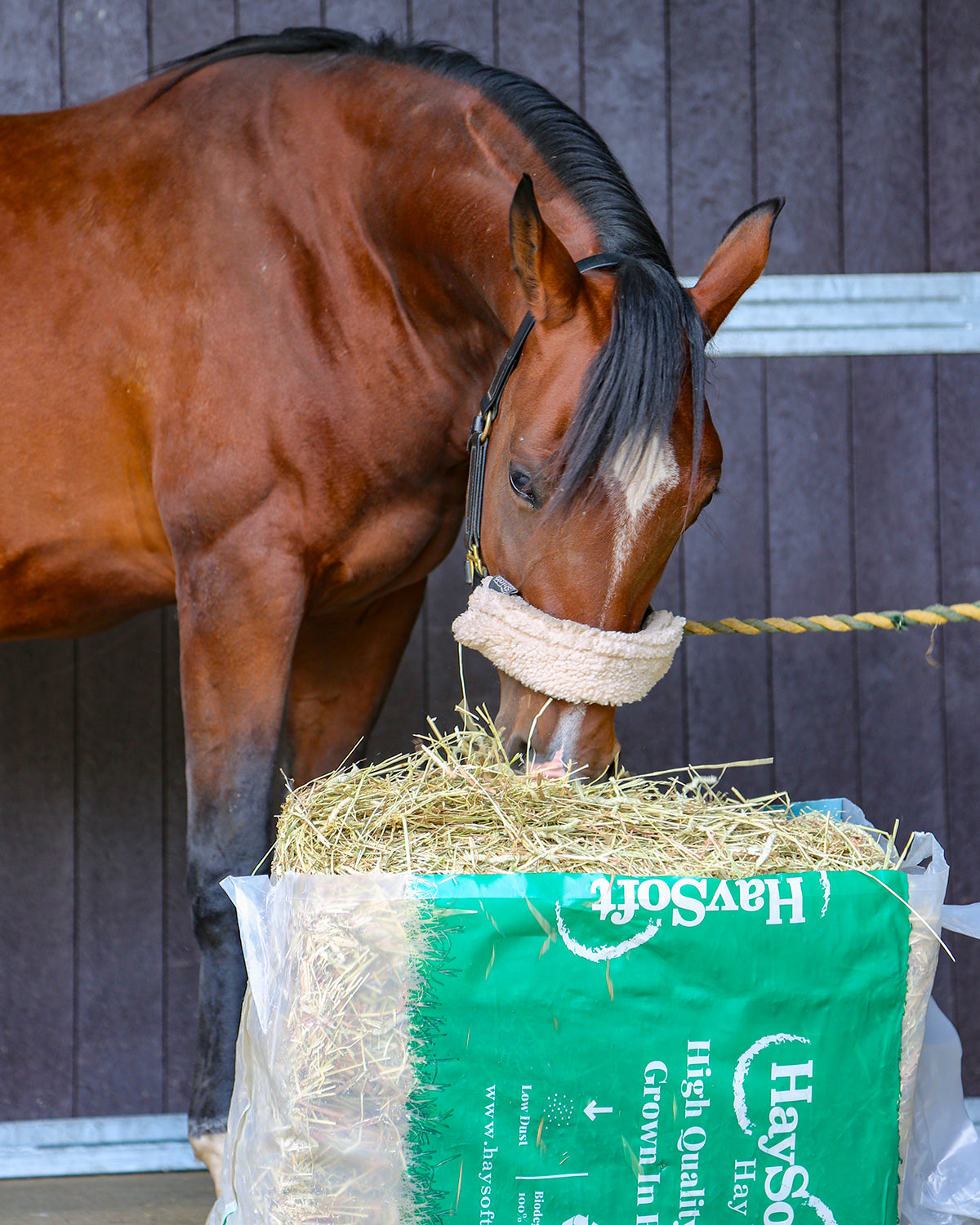HaySoft Hay Bag 12.5KG
