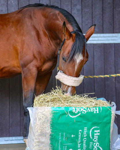HaySoft Hay Bag