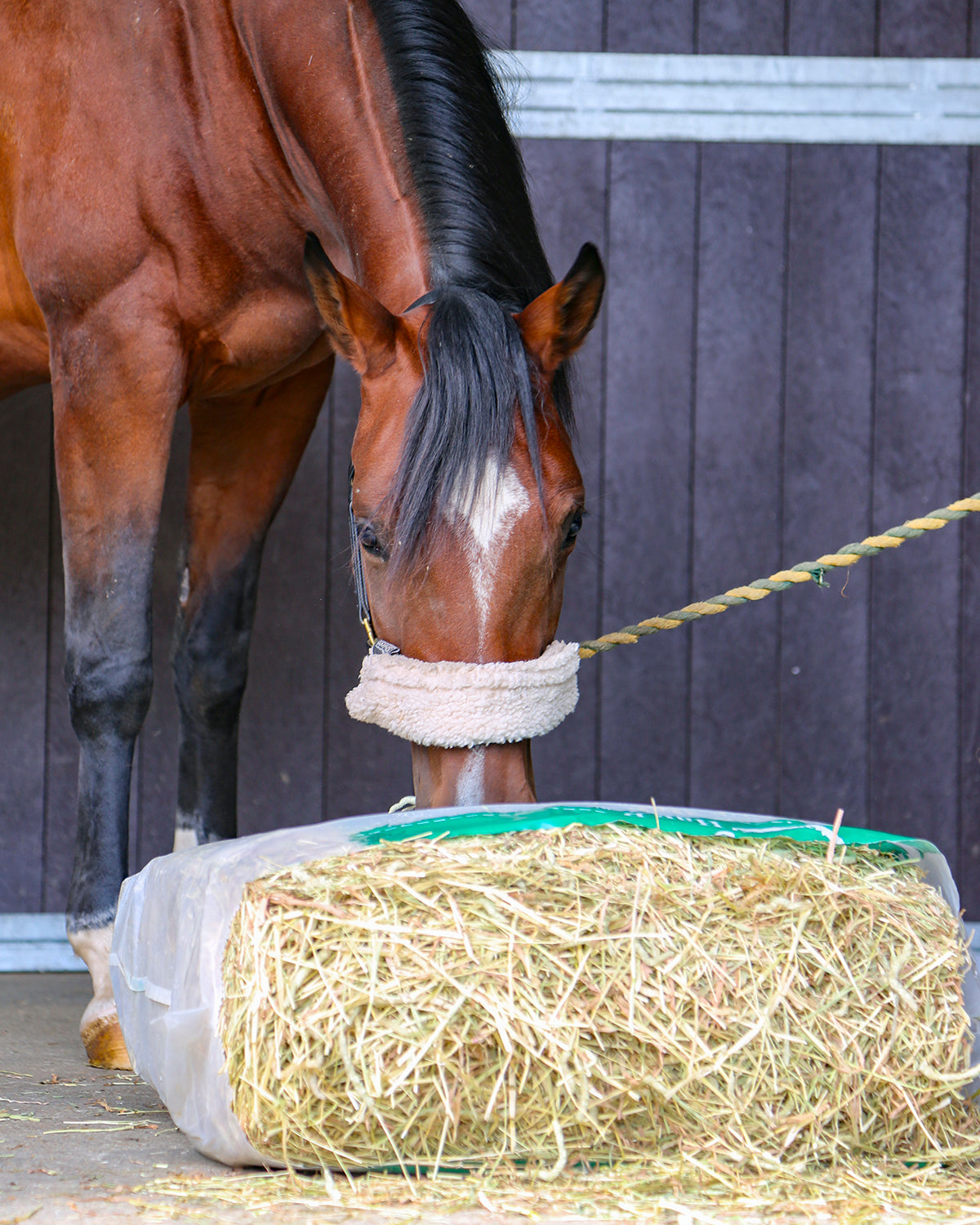 HaySoft Hay Bag 12.5kg