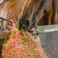 HaySoft High Fibre Haylage