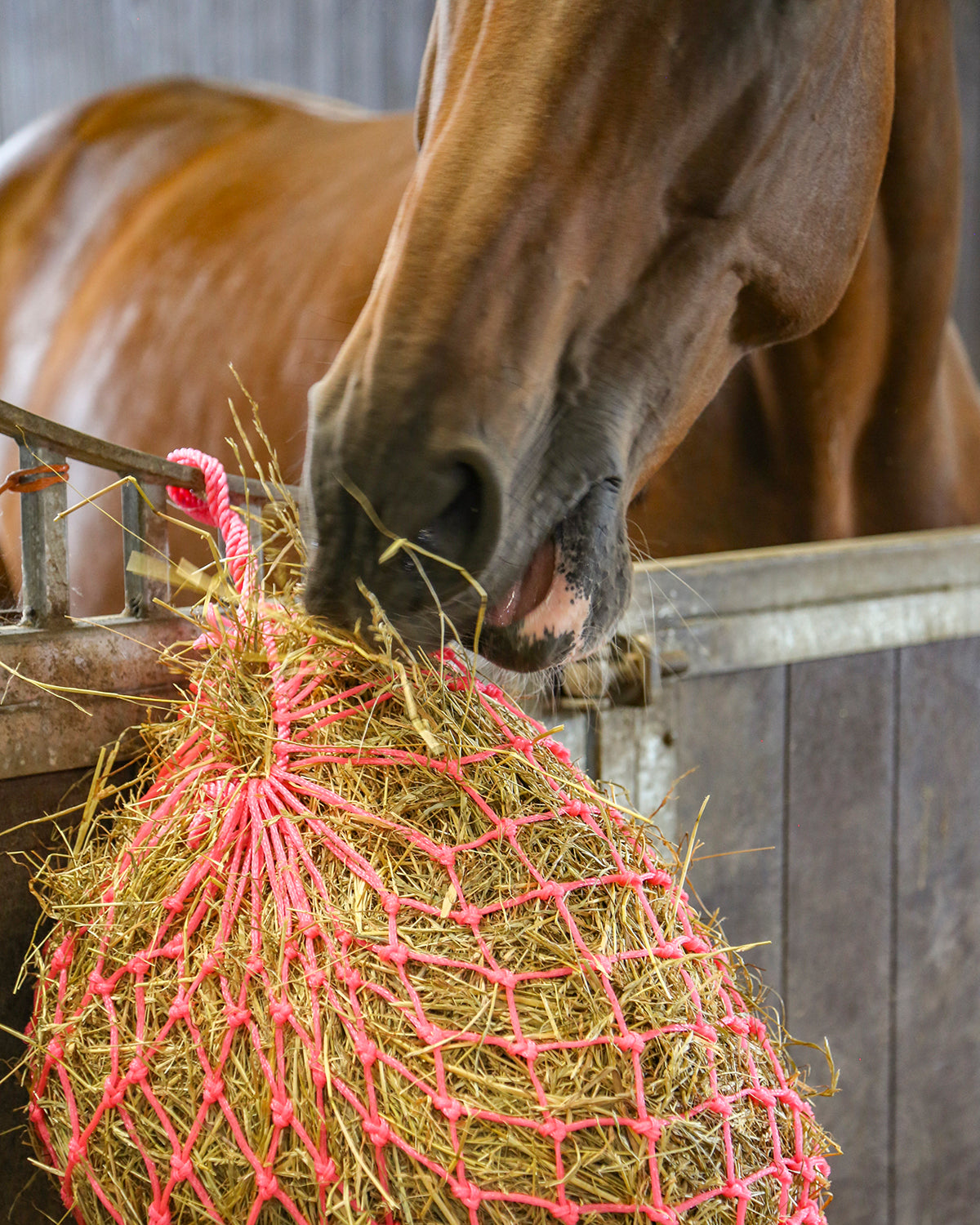 HaySoft High Fibre Haylage