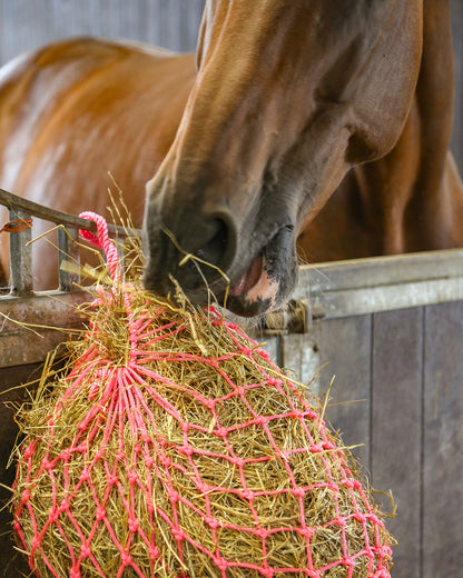 HaySoft Original Haylage