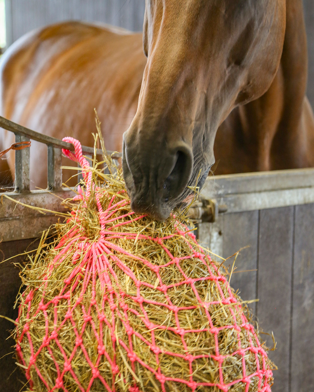 HaySoft High Fibre Haylage