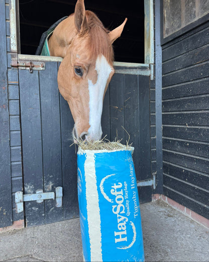 Haysoft Timothy Haylage