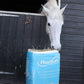 Haysoft Timothy Haylage (Blue)