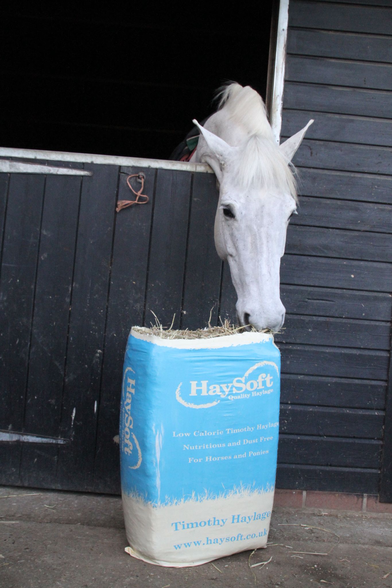 Haysoft Timothy Haylage (Blue)