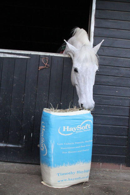 Haysoft Timothy Haylage