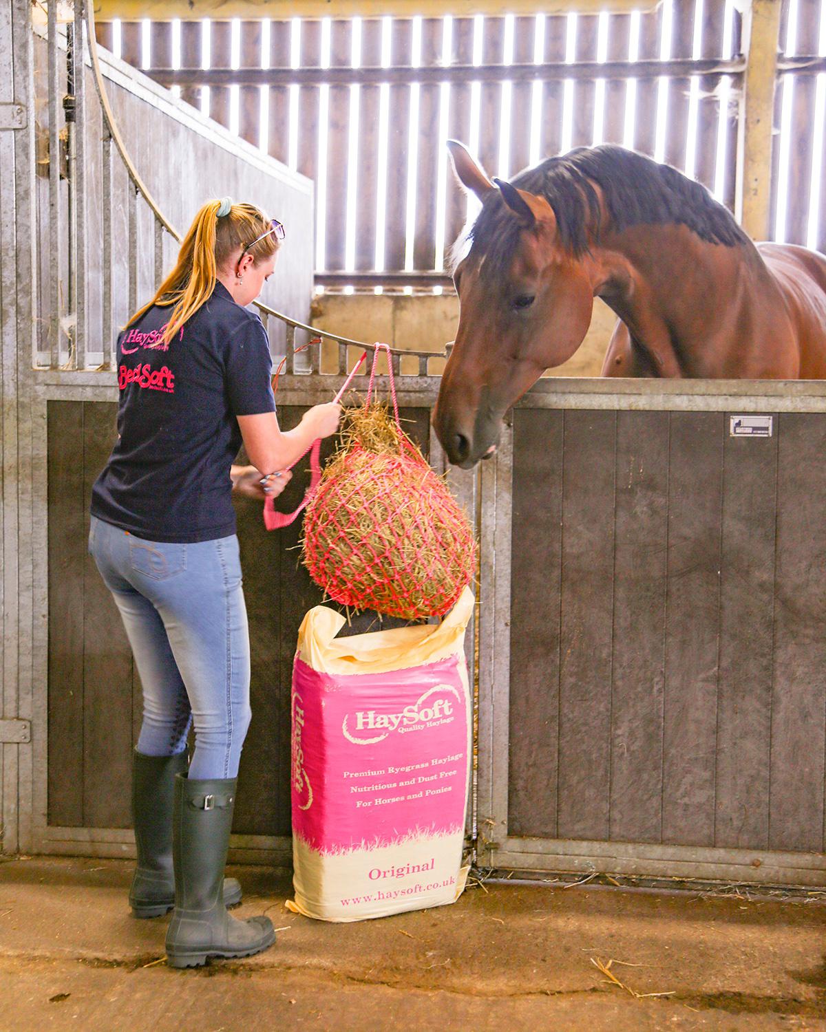 HaySoft Original Haylage